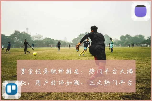 赏金任务软件排名，热门平台大揭秘，用户好评如潮，三大热门平台，你选对了吗